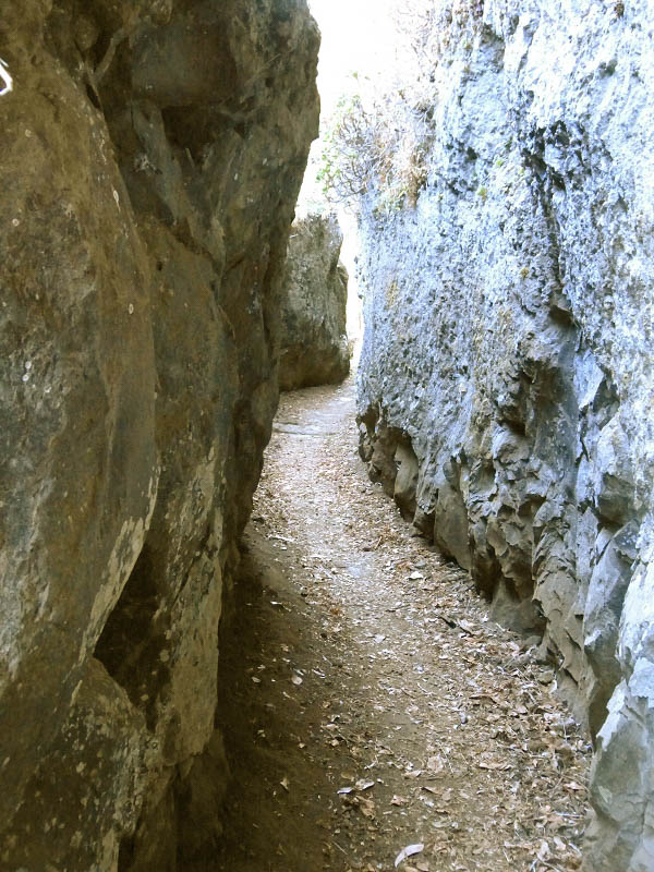 23 July 2013 Levada do Curral e Castelejo — From Lombo dos Tres Paus to Casa Perreira — photo 6
