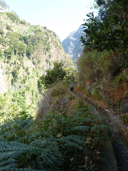 23 July 2013 Levada do Curral e Castelejo — From the Faja basin to the crux — photo 29