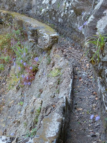 23 July 2013 Levada do Curral e Castelejo — The crux — photo 2