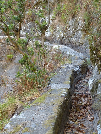 23 July 2013 Levada do Curral e Castelejo — The crux — photo 5