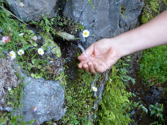 23 July 2013 Levada do Curral e Castelejo — As far as the waterfall spot — photo 2
