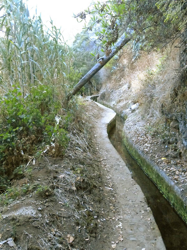 23 July 2013 Levada do Curral e Castelejo — From Lombo dos Tres Paus to Casa Perreira — photo 7