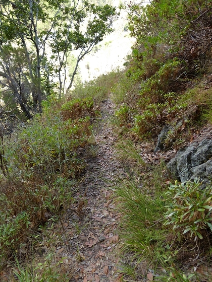 23 July 2013 Levada do Curral e Castelejo — To the tunnel behind the waterfall — photo 3