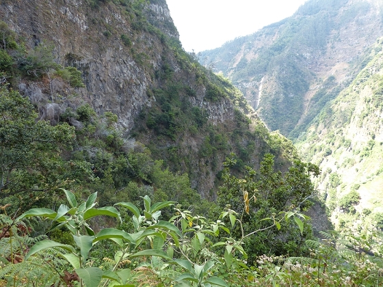 23 July 2013 Levada do Curral e Castelejo — To the tunnel behind the waterfall — photo 6