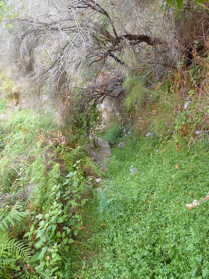 23 July 2013 Levada do Curral e Castelejo — To the tunnel behind the waterfall — photo 7