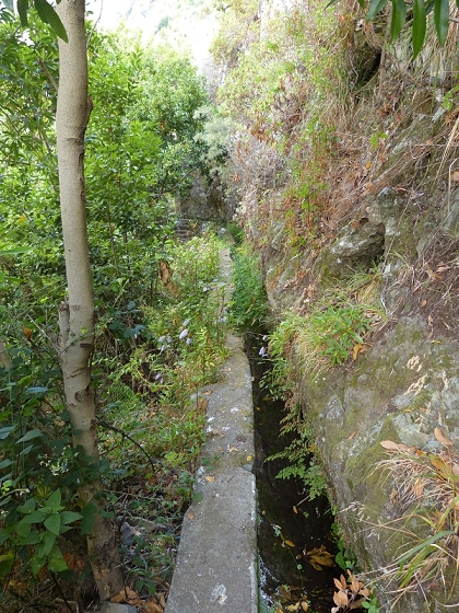 23 July 2013 Levada do Curral e Castelejo — To the tunnel behind the waterfall — photo 8