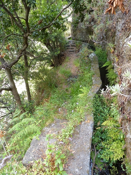 23 July 2013 Levada do Curral e Castelejo — To the tunnel behind the waterfall — photo 9