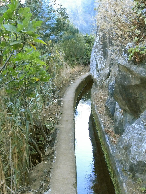 23 July 2013 Levada do Curral e Castelejo — From Lombo dos Tres Paus to Casa Perreira — photo 8