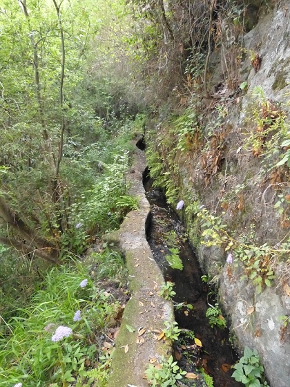 23 July 2013 Levada do Curral e Castelejo — To the tunnel behind the waterfall — photo 11