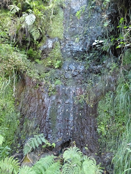 23 July 2013 Levada do Curral e Castelejo — To the tunnel behind the waterfall — photo 12