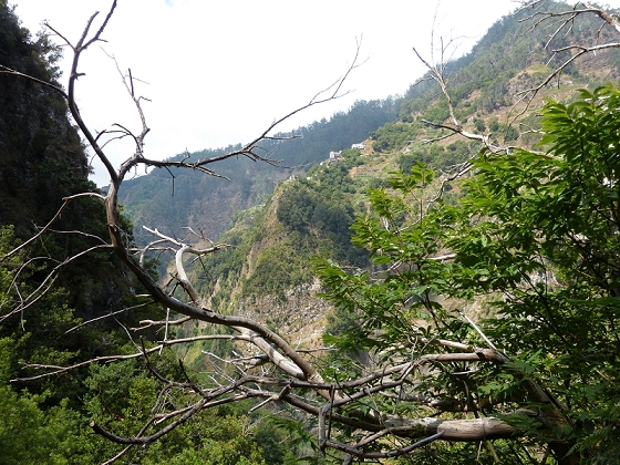 23 July 2013 Levada do Curral e Castelejo — To the tunnel behind the waterfall — photo 13