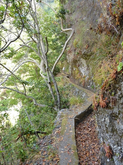 23 July 2013 Levada do Curral e Castelejo — To the tunnel behind the waterfall — photo 14