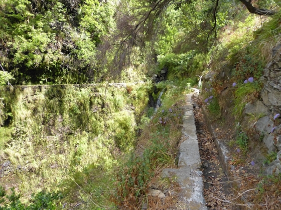 23 July 2013 Levada do Curral e Castelejo — To the tunnel behind the waterfall — photo 15