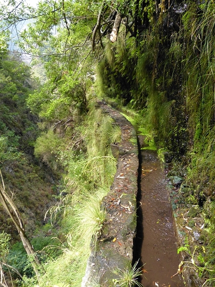 23 July 2013 Levada do Curral e Castelejo — To the tunnel behind the waterfall — photo 16