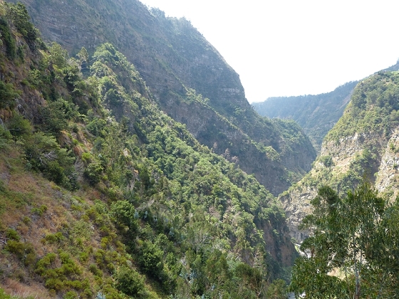 23 July 2013 Levada do Curral e Castelejo — To the tunnel behind the waterfall — photo 19