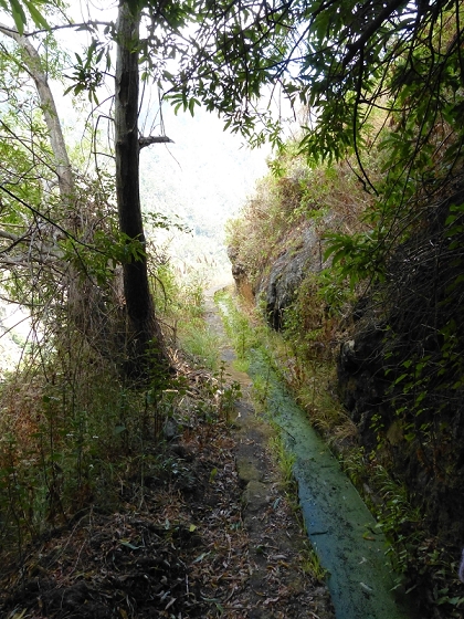 23 July 2013 Levada do Curral e Castelejo — To the tunnel behind the waterfall — photo 21