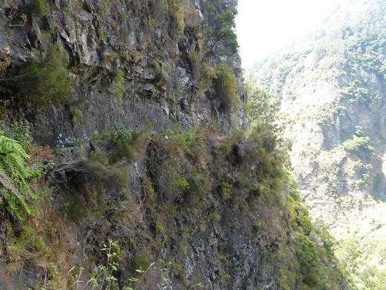 23 July 2013 Levada do Curral e Castelejo — To the tunnel behind the waterfall — photo 24
