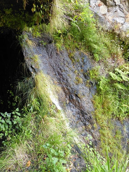 23 July 2013 Levada do Curral e Castelejo — To the tunnel behind the waterfall — photo 25