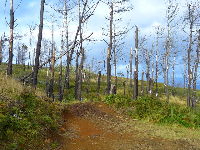 23 July 2014 Pedregal waterfall and Levada do Moinho — To the viewpoint over the waterfall of the Ribeira dos Moinhos — photo 10