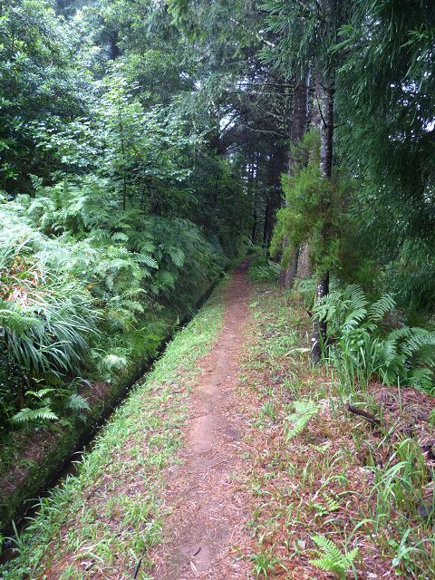 23 July 2014 Pedregal waterfall and Levada do Moinho — From Porta da Vila to the remains of the old mill — photo 1