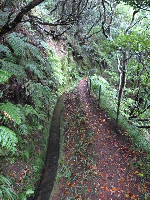 23 July 2014 Pedregal waterfall and Levada do Moinho — From Porta da Vila to the remains of the old mill — photo 3