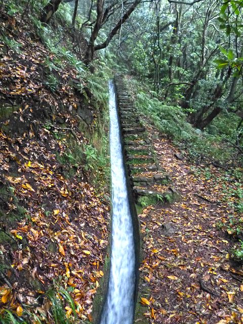 23 July 2014 Pedregal waterfall and Levada do Moinho — From Porta da Vila to the remains of the old mill — photo 5