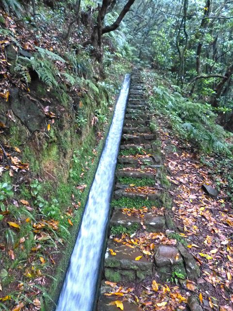 23 July 2014 Pedregal waterfall and Levada do Moinho — From Porta da Vila to the remains of the old mill — photo 6