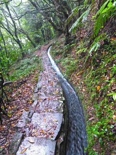 23 July 2014 Pedregal waterfall and Levada do Moinho — From Porta da Vila to the remains of the old mill — photo 7