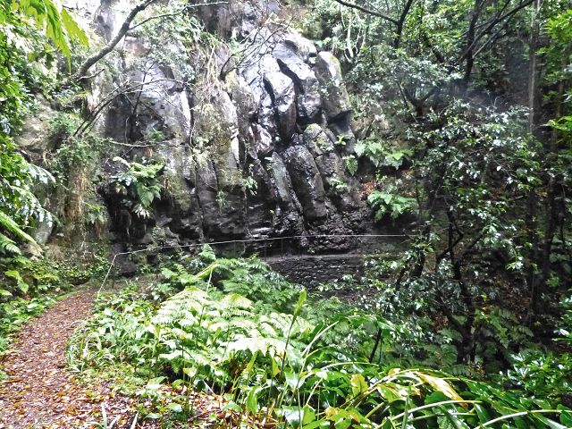 23 July 2014 Pedregal waterfall and Levada do Moinho — From Porta da Vila to the remains of the old mill — photo 9