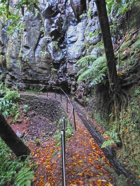 23 July 2014 Pedregal waterfall and Levada do Moinho — From Porta da Vila to the remains of the old mill — photo 10