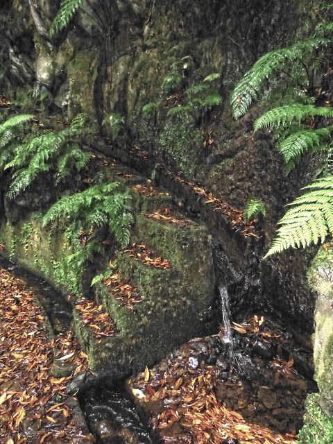 Levada do(s) Moinho(s) — Crossing the western side branch of the Ribeira do Tristao — photo 5