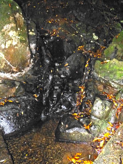 Levada do(s) Moinho(s) — Crossing the western side branch of the Ribeira do Tristao — photo 7