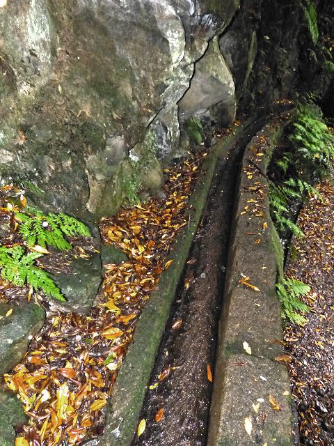Levada do(s) Moinho(s) — Crossing the western side branch of the Ribeira do Tristao — photo 8
