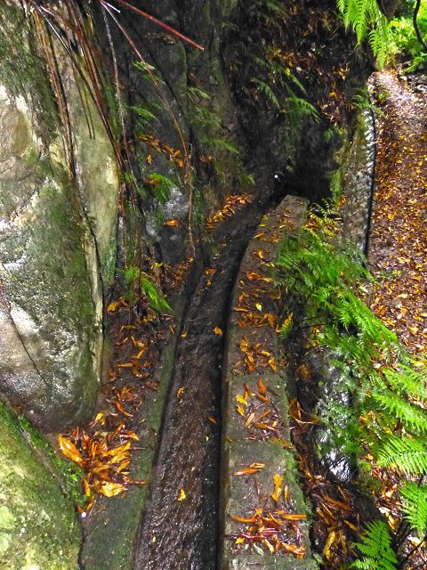 Levada do(s) Moinho(s) — Crossing the western side branch of the Ribeira do Tristao — photo 9