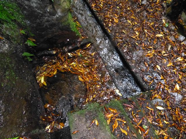 Levada do(s) Moinho(s) — Crossing the western side branch of the Ribeira do Tristao — photo 10
