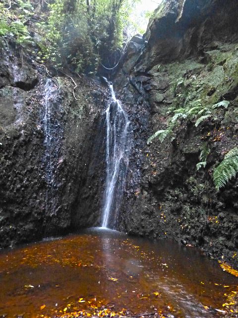 23 July 2014 Pedregal waterfall and Levada do Moinho — From Porta da Vila to the remains of the old mill — photo 20