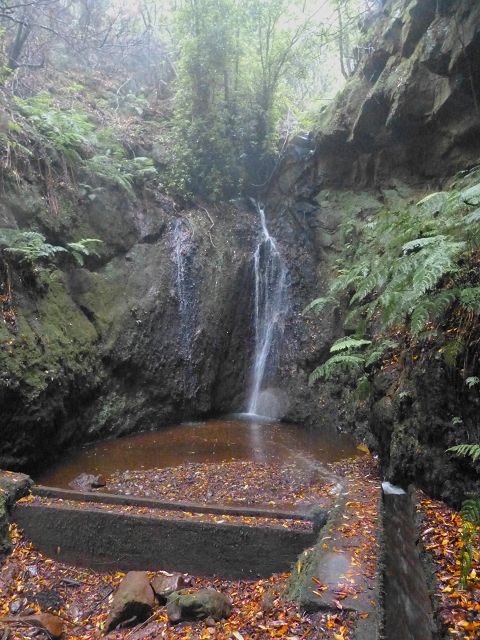 23 July 2014 Pedregal waterfall and Levada do Moinho — From Porta da Vila to the remains of the old mill — photo 22