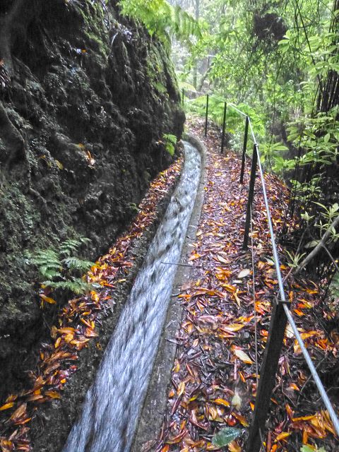 23 July 2014 Pedregal waterfall and Levada do Moinho — From Porta da Vila to the remains of the old mill — photo 23