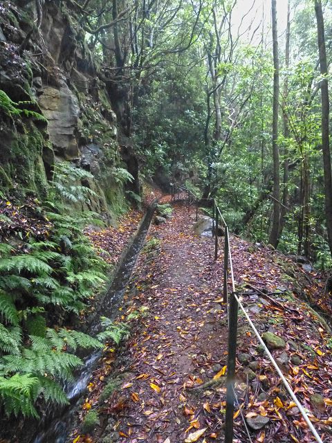 23 July 2014 Pedregal waterfall and Levada do Moinho — From Porta da Vila to the remains of the old mill — photo 24
