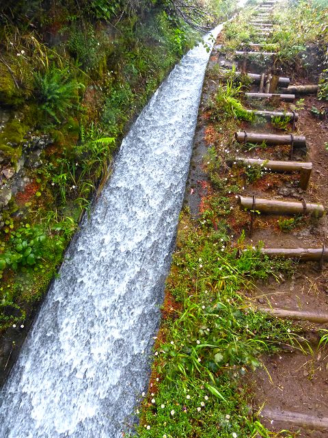 Levada do(s) Moinho(s) — To the water stair above the watermill — photo 7