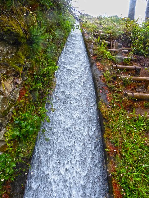 Levada do(s) Moinho(s) — To the water stair above the watermill — photo 8