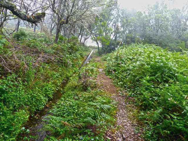 23 July 2014 Pedregal waterfall and Levada do Moinho — On to the Madre of the Levada dos Moinhos — photo 3