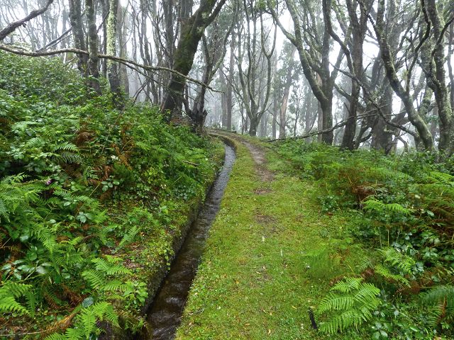 23 July 2014 Pedregal waterfall and Levada do Moinho — On to the Madre of the Levada dos Moinhos — photo 4