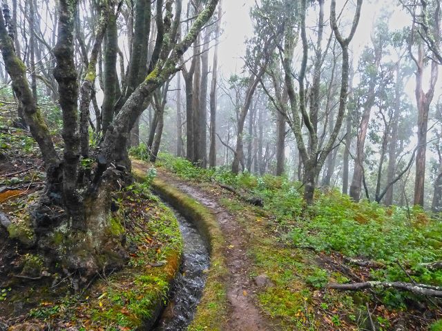 23 July 2014 Pedregal waterfall and Levada do Moinho — On to the Madre of the Levada dos Moinhos — photo 5