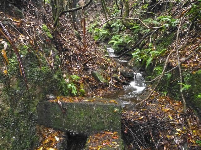 23 July 2014 Pedregal waterfall and Levada do Moinho — On to the Madre of the Levada dos Moinhos — photo 7