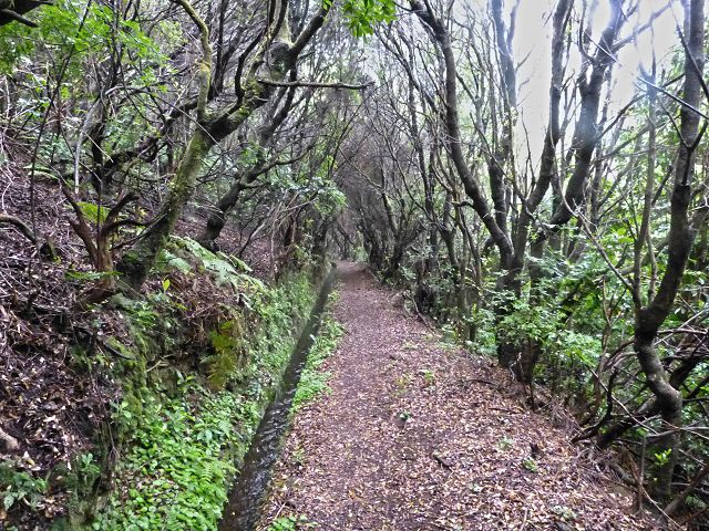23 July 2014 Pedregal waterfall and Levada do Moinho — On to the Madre of the Levada dos Moinhos — photo 9