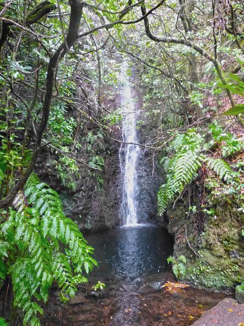 Levada do(s) Moinho(s) — On to the first waterfall — photo 2