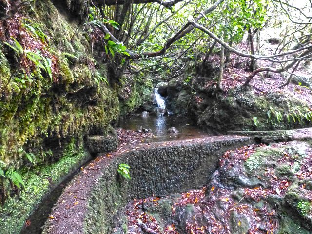 Levada do(s) Moinho(s) — Madre of the Levada dos Moinhos — photo 1