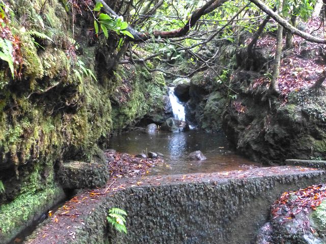 23 July 2014 Pedregal waterfall and Levada do Moinho — On to the Madre of the Levada dos Moinhos — photo 14
