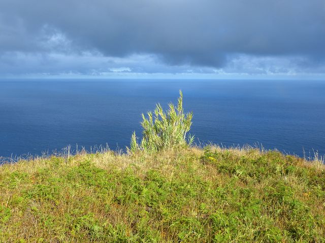 23 July 2014 Pedregal waterfall and Levada do Moinho — To the viewpoint over the waterfall of the Ribeira dos Moinhos — photo 6